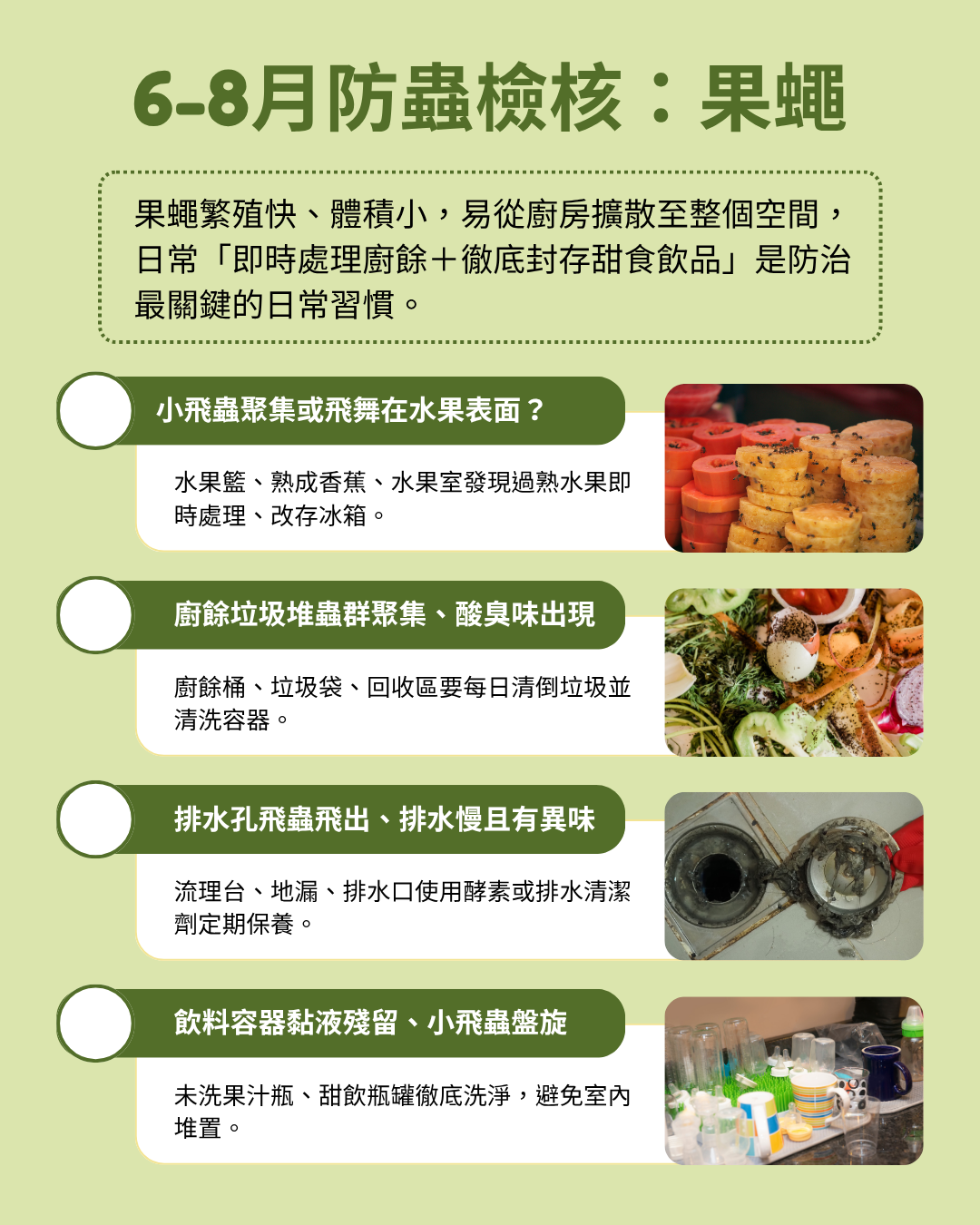 6-8月防蟲檢核表：果蠅