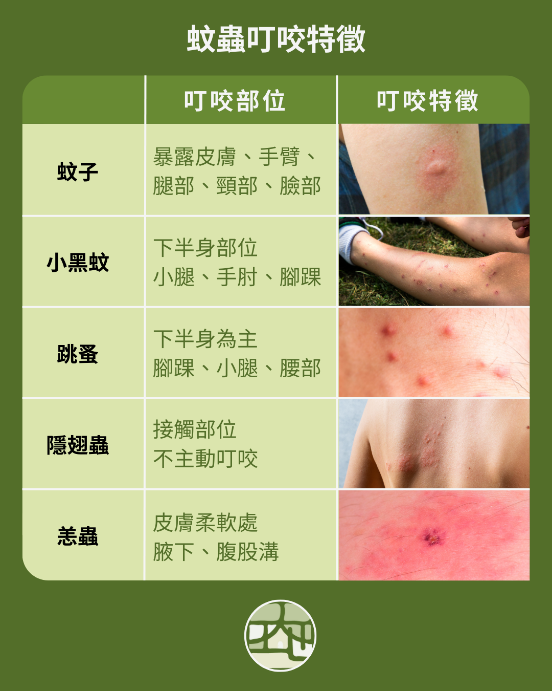 大地除蟲-蚊蟲叮咬特徵介紹