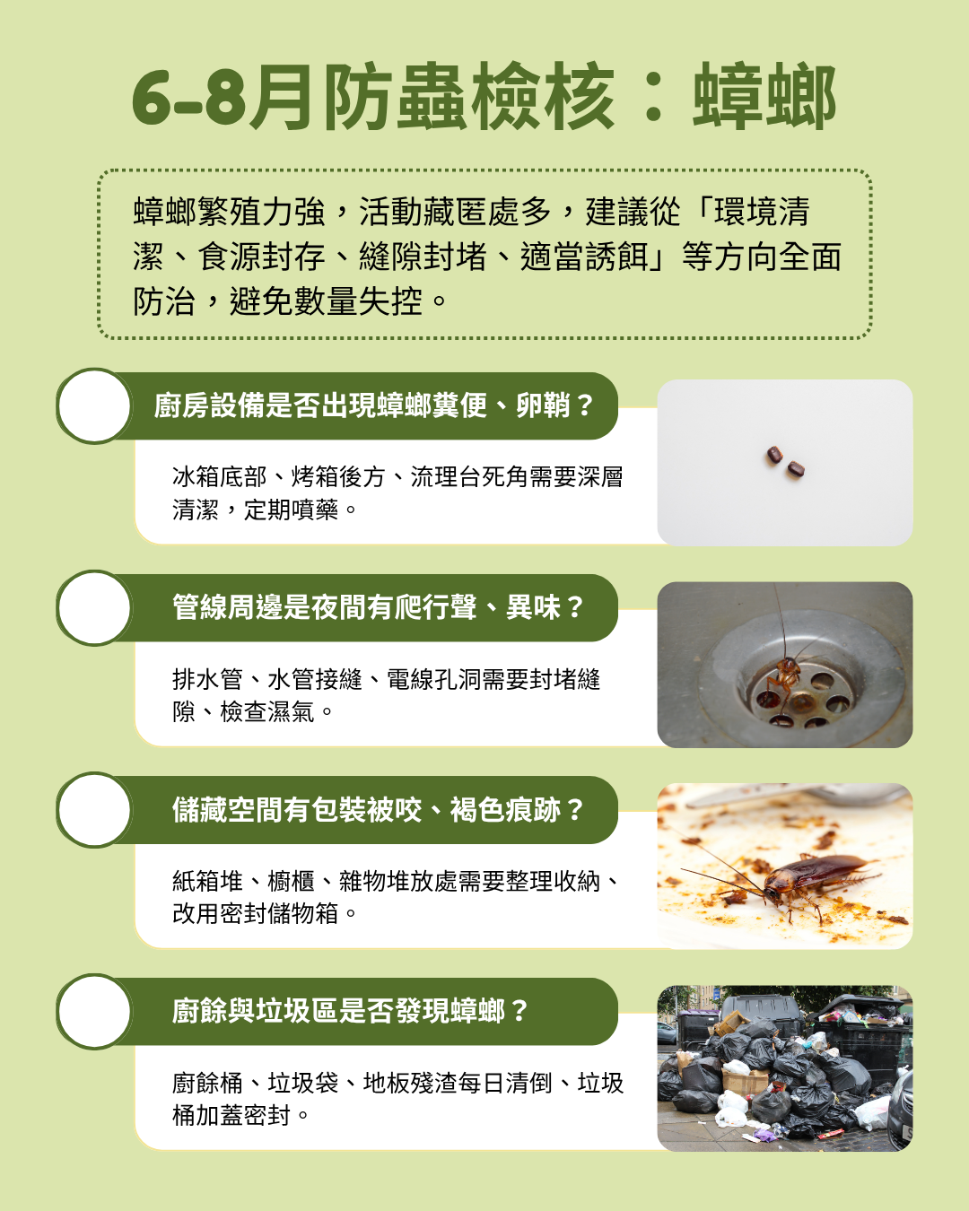6-8月防蟲檢核表：蟑螂