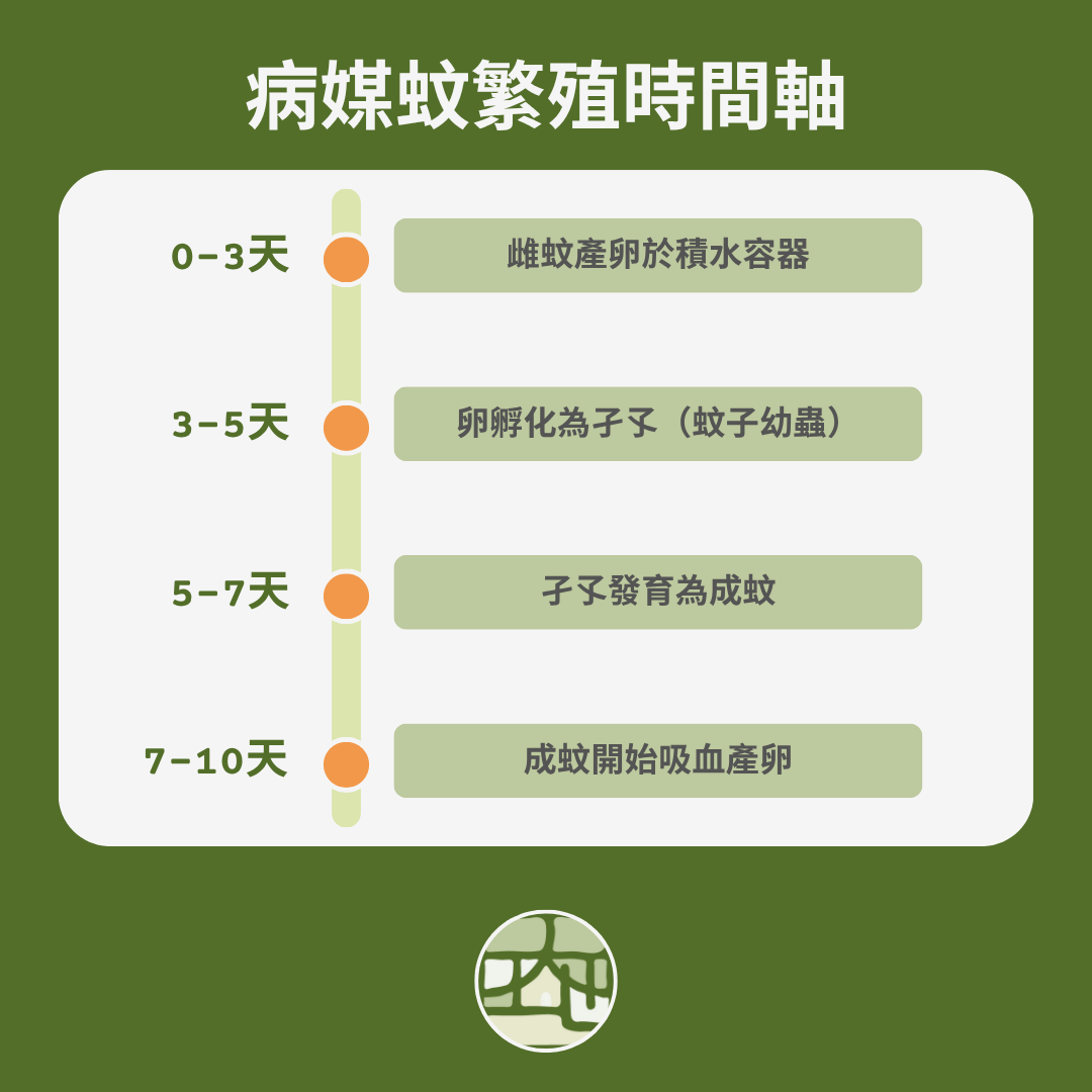 病媒蚊繁殖時間軸