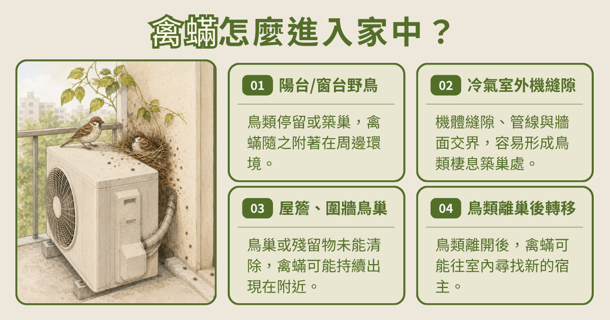 禽蟎如何進到家中?透過陽台、冷氣室外機築巢