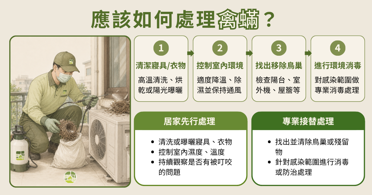 該怎麼處理禽蟎問題?居家、專業共同合作才是最佳處理方式