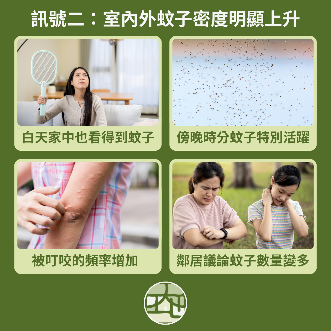 訊號二：蚊子數量明顯上升