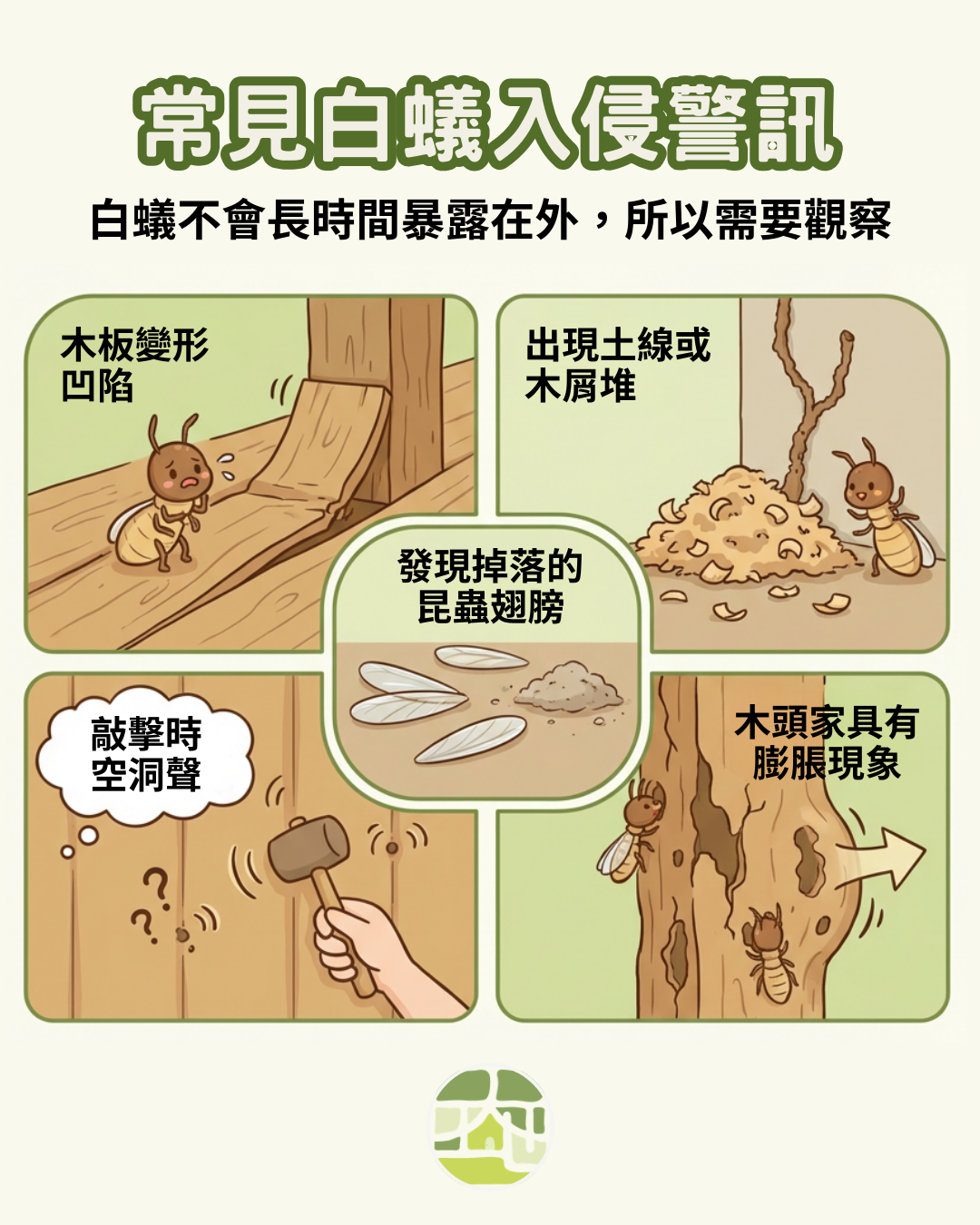 門框鬆動、木板下陷、木頭家具損壞、白蟻啃咬木頭