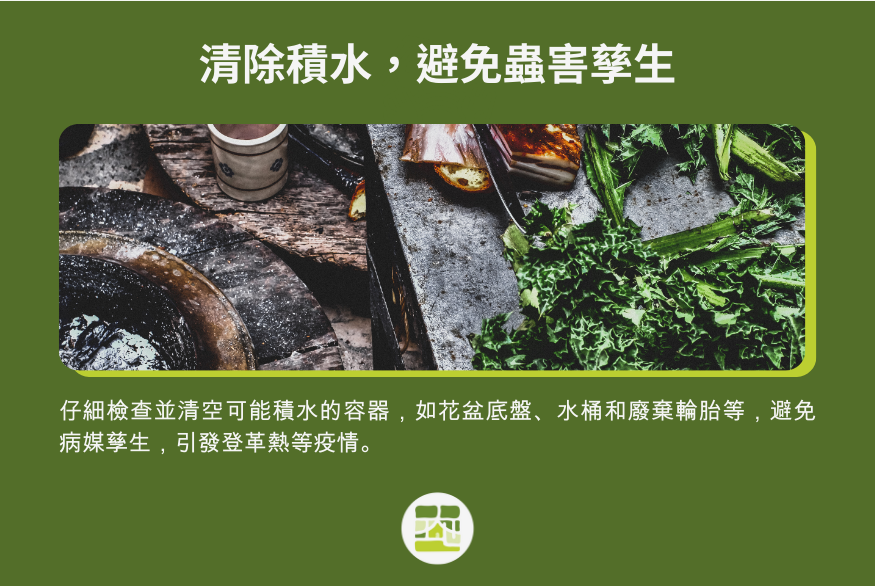 清除積水容器