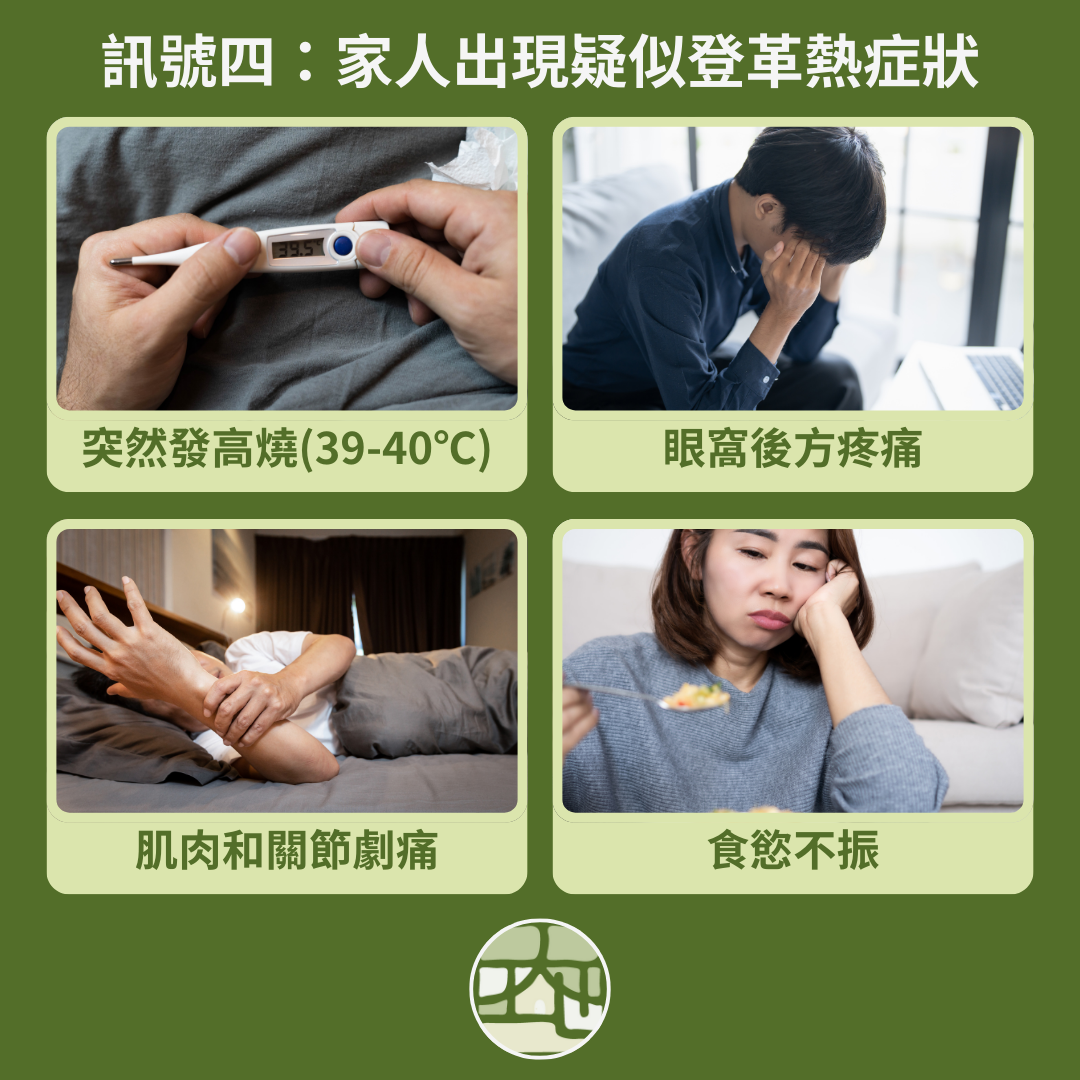 訊號四：出現登革熱症狀