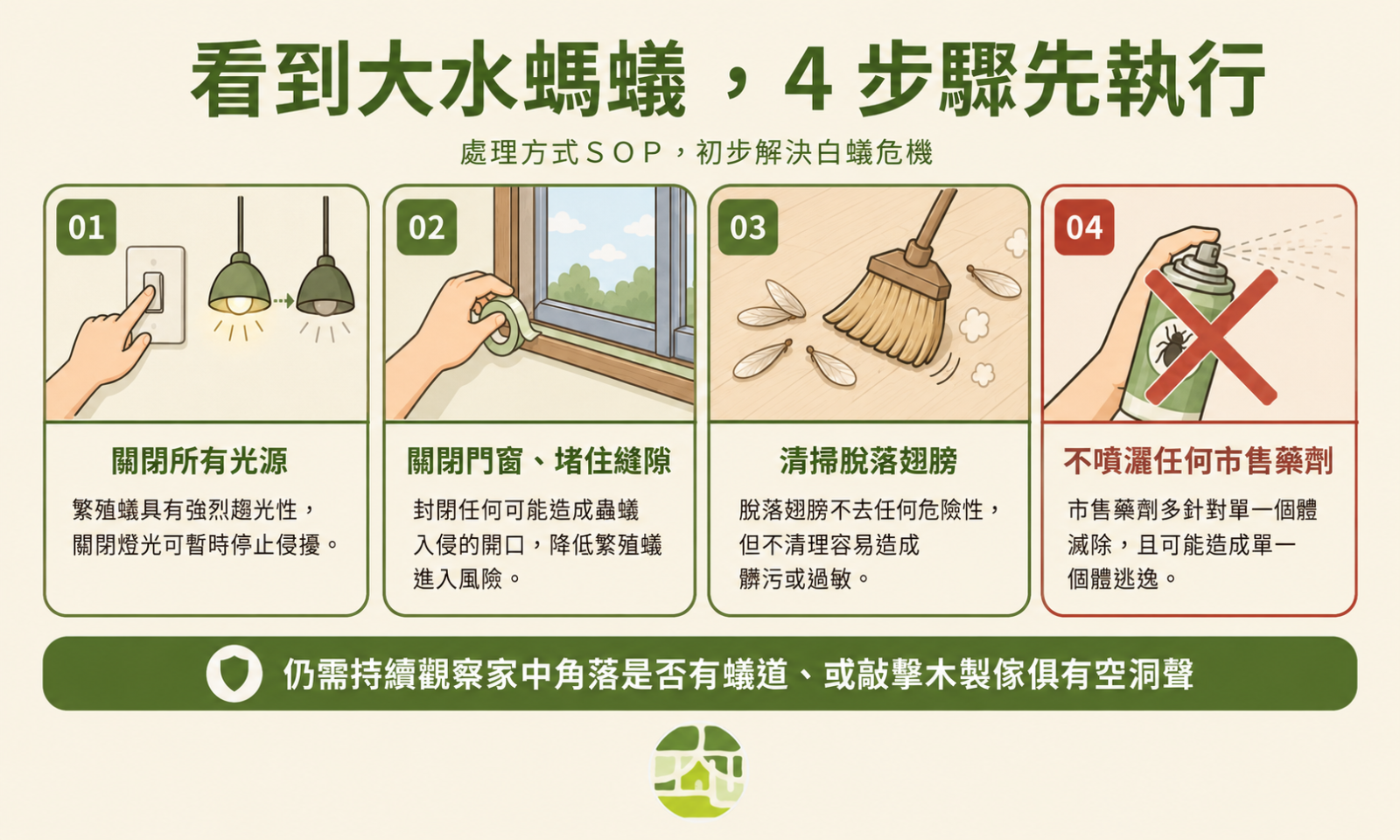 看到大水螞蟻，4個步驟先執行，避免問題擴大。