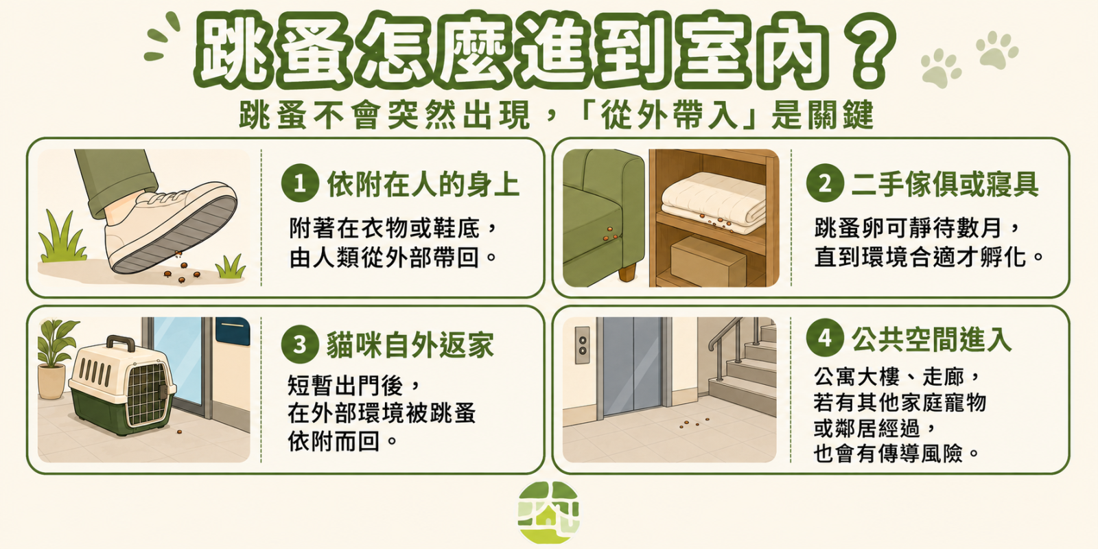 跳蚤透過4個途徑進入室內，分別依附人、寵物、家具及公共空間