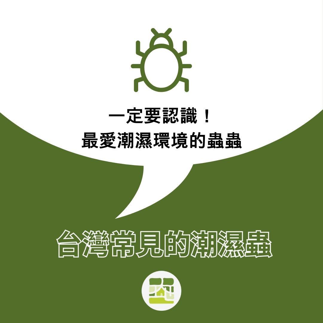 這些蟲蟲最喜歡潮濕的環境，了解台灣常見的潮濕蟲