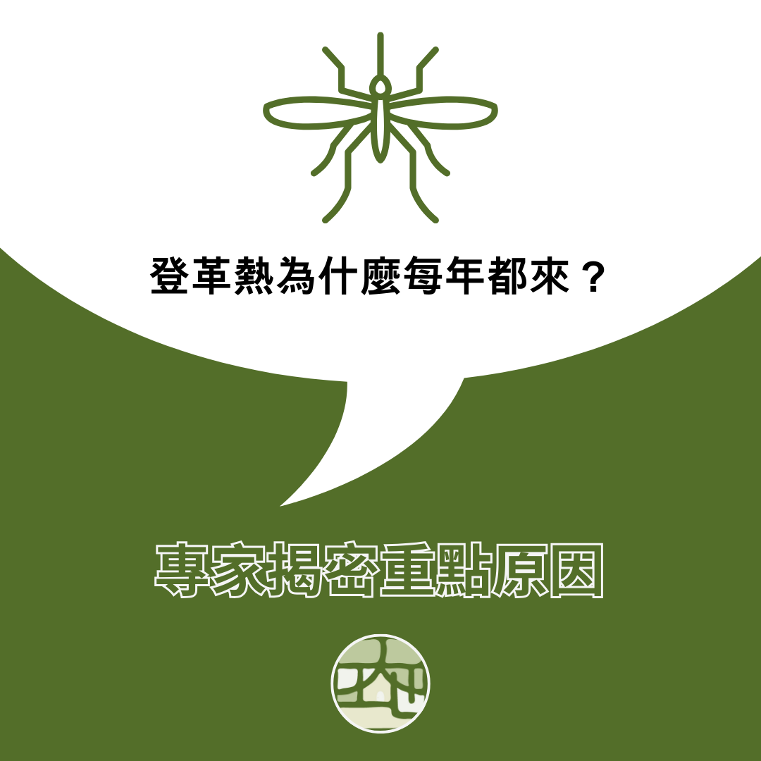 登革熱為什麼每年都來？專家揭密原因，你我都是防線的一環