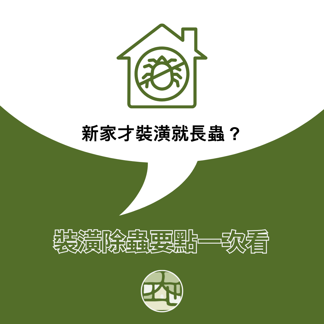 新家才裝潢就長蟲？裝潢蟲、白蟻常見跡象與裝潢除蟲要點一次整理