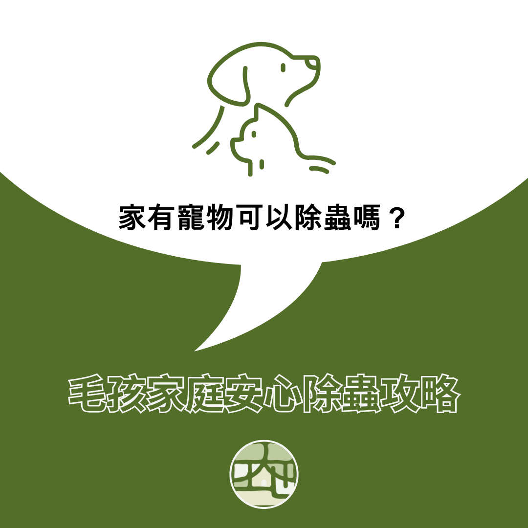 家有寵物可以進行除蟲嗎？毛孩家庭安心除蟲三階段