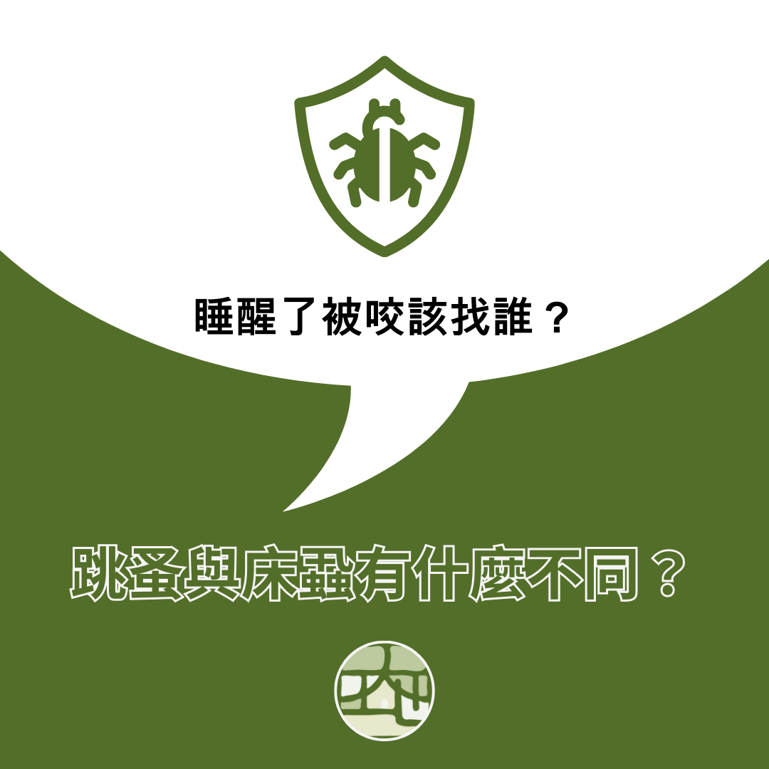 睡醒被咬了該找誰？跳蚤與床蝨有什麼不同？