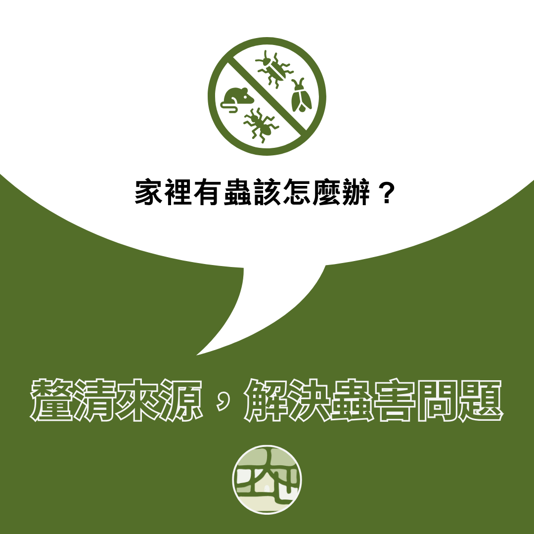 家裡有蟲怎麼辦？你家遇到的可能不只是一種問題
