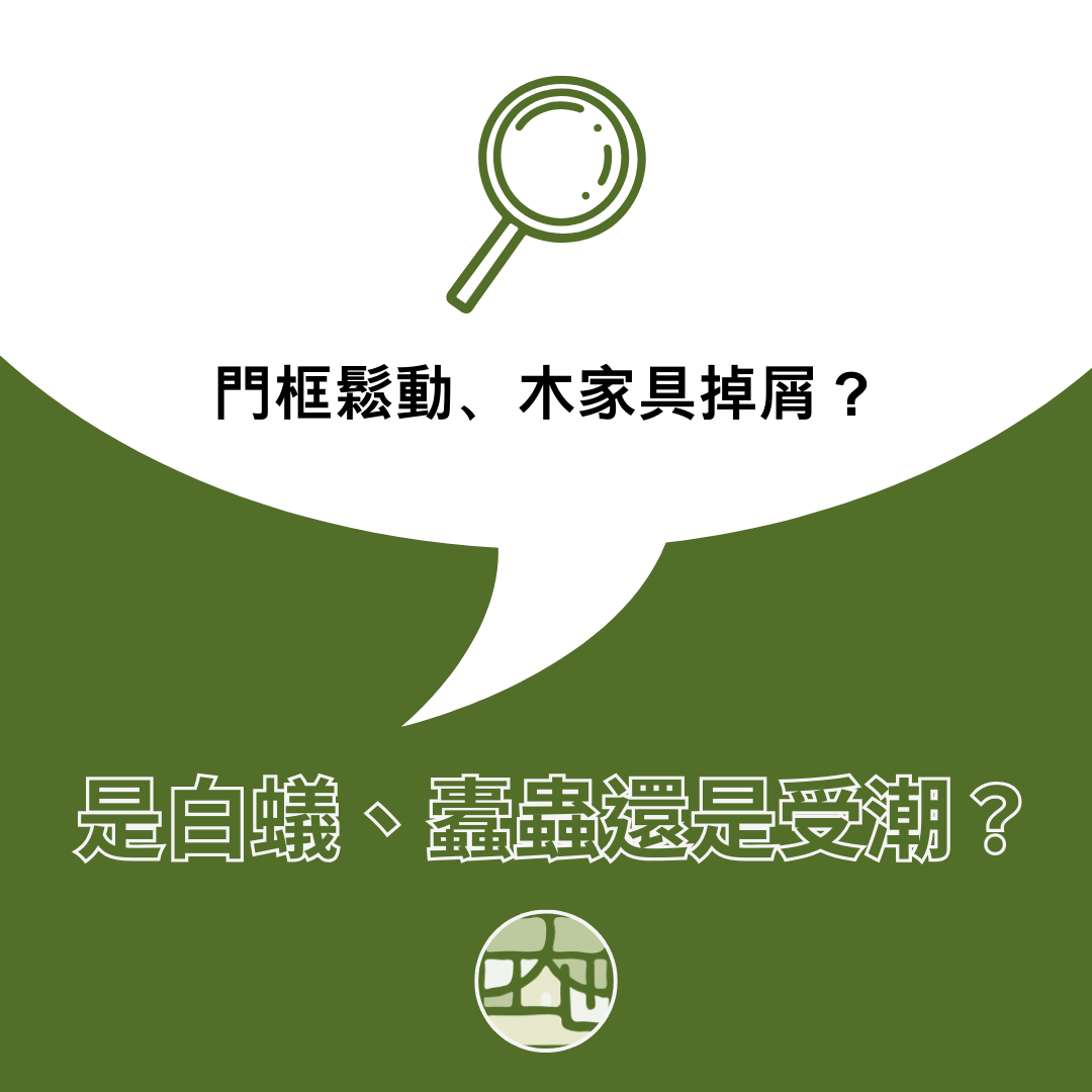 門框鬆動、木家具掉屑，到底是白蟻、裝潢蟲還是受潮？