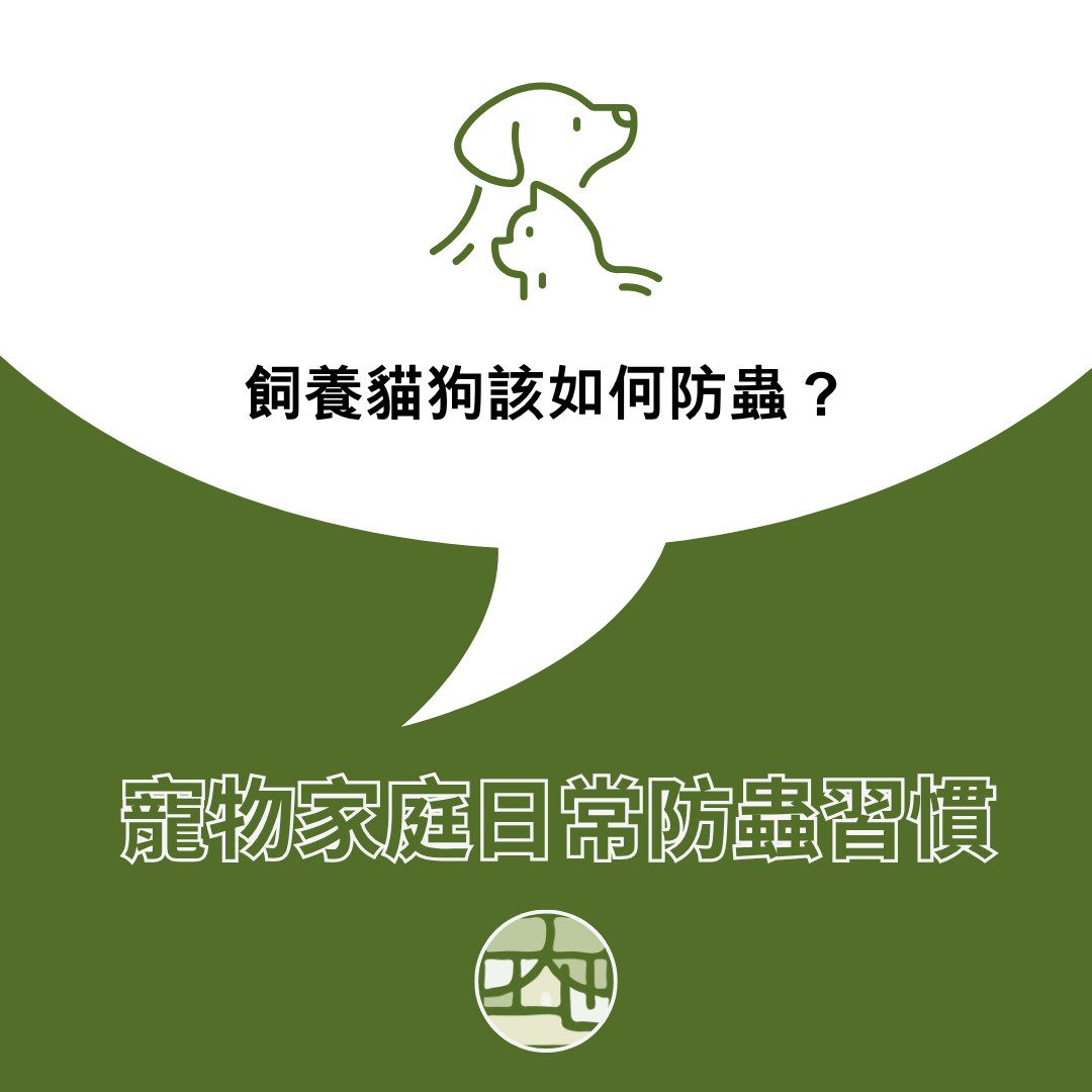 飼養寵物的家庭，這幾個日常習慣可以有效減少蟲害