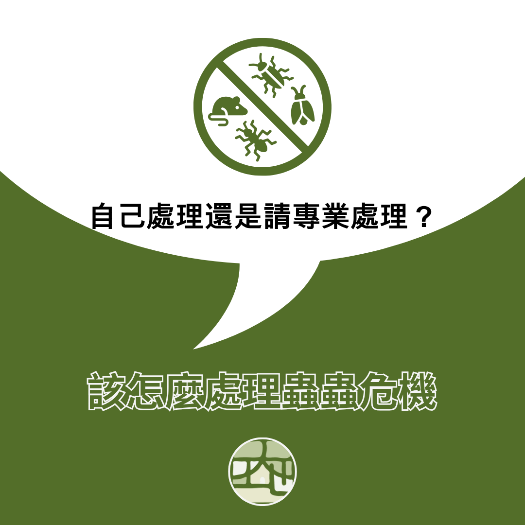 遇到蟲蟲危機，該自己處理還是請專業人士處理？優缺點一次看清楚