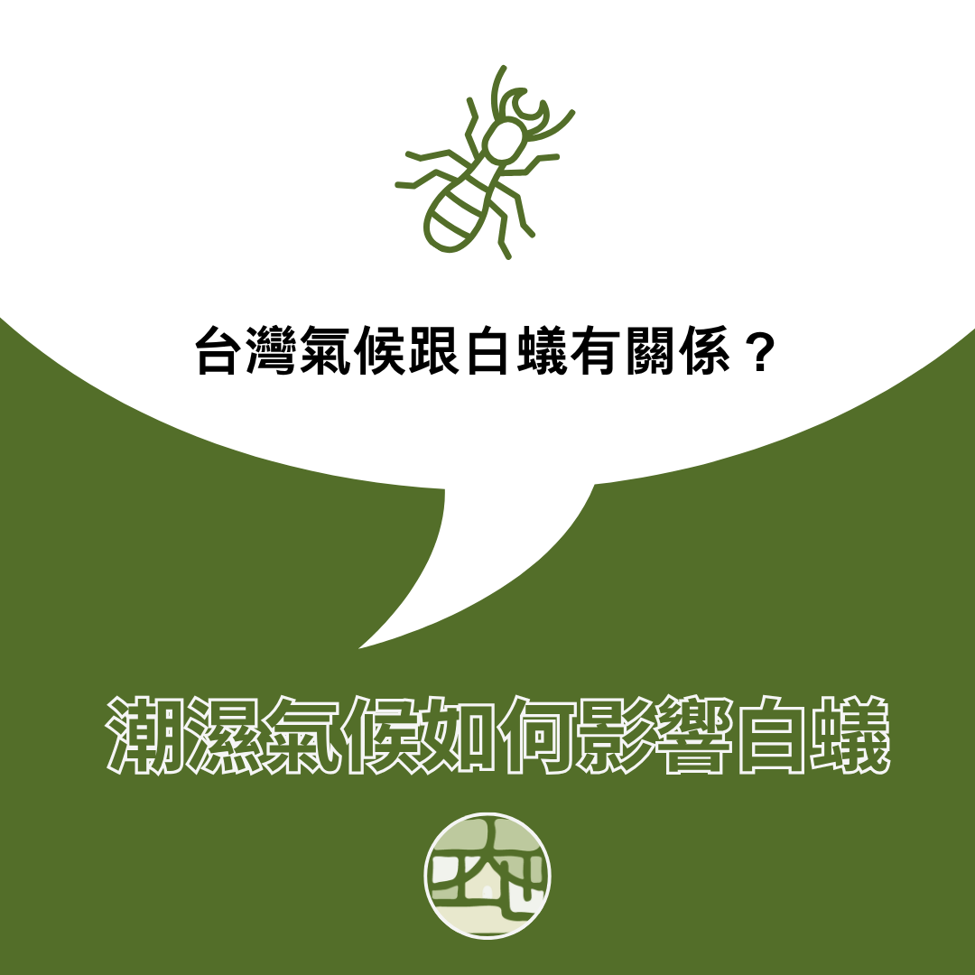 台灣的潮濕氣候，為什麼會讓白蟻問題更嚴重？