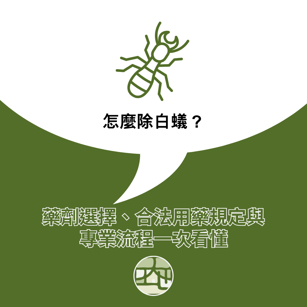 白蟻怎麼除？藥劑選擇、與專業流程一次看懂