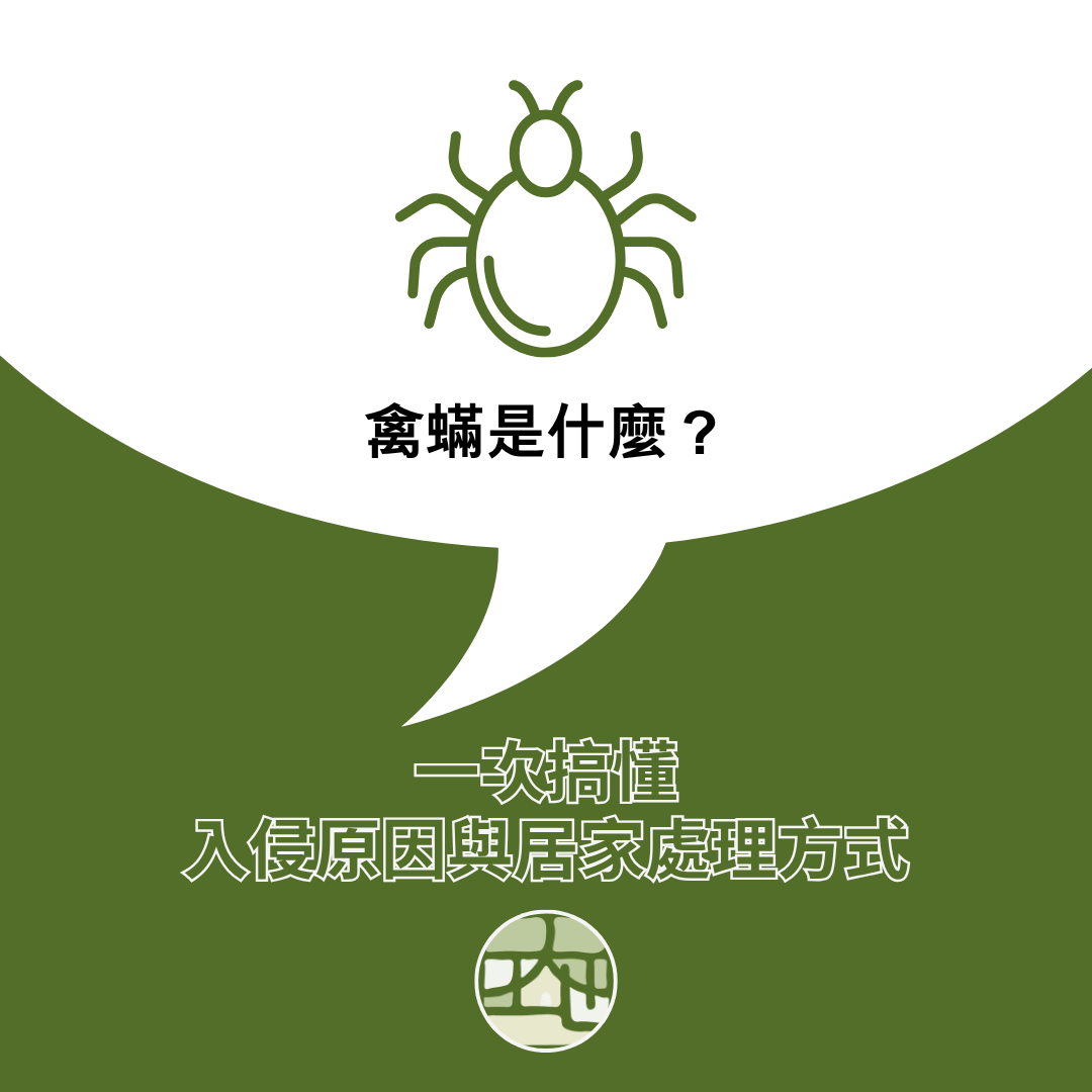 禽蟎是什麼？從入侵原因到居家處理一次搞懂