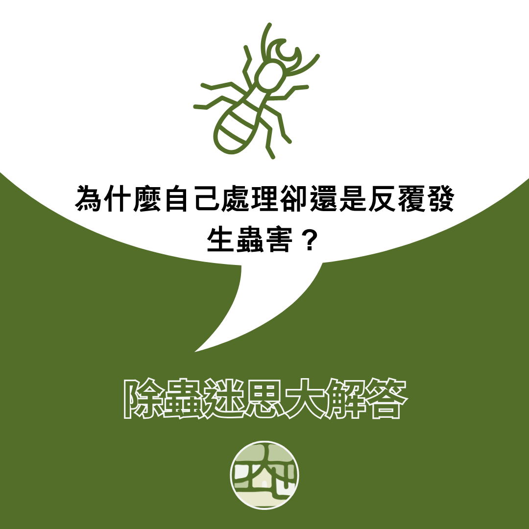 除蟲迷思大解答：自己噴藥為什麼一直沒效？