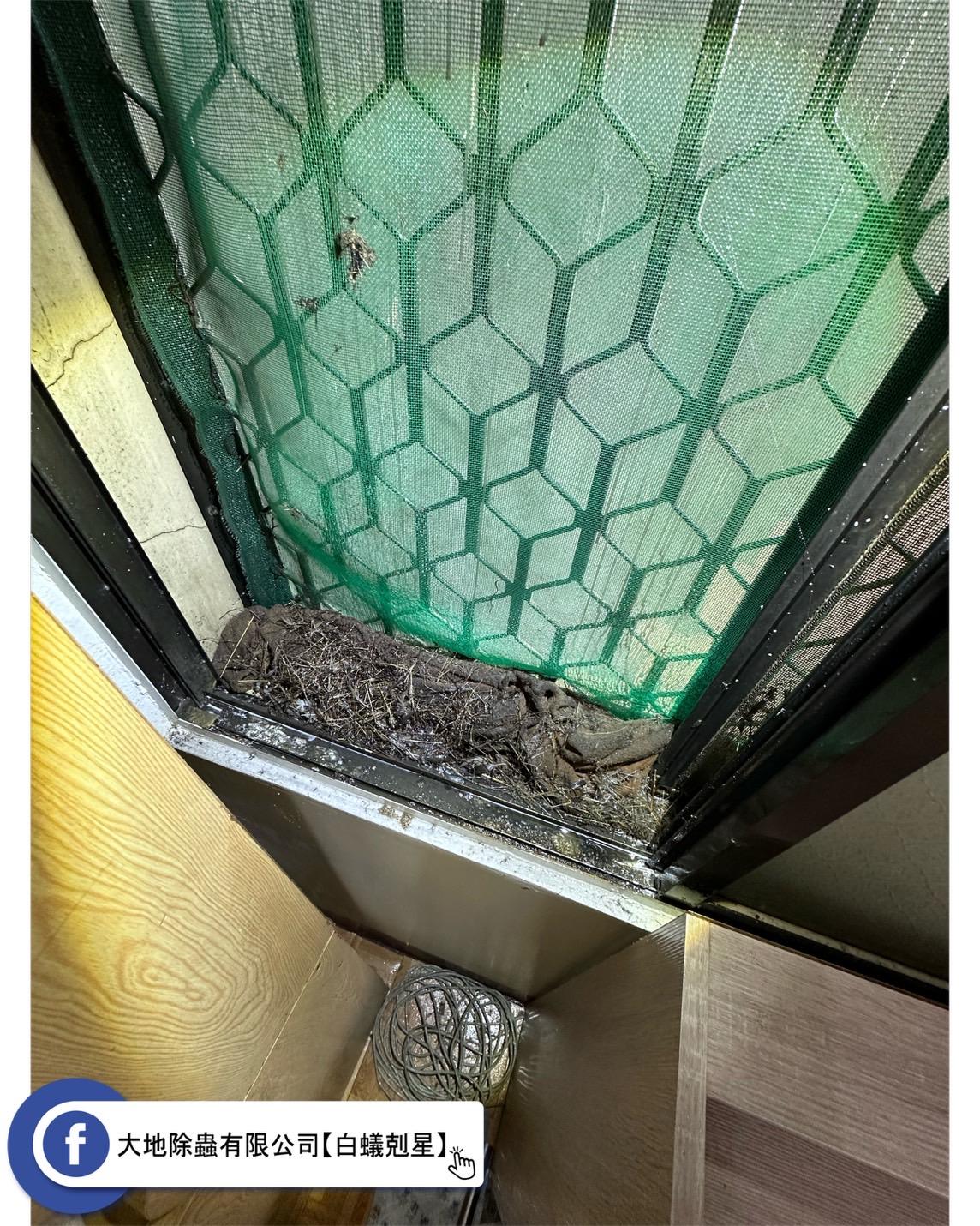 警惕！鳥巢是禽蟎的潛在孳生源