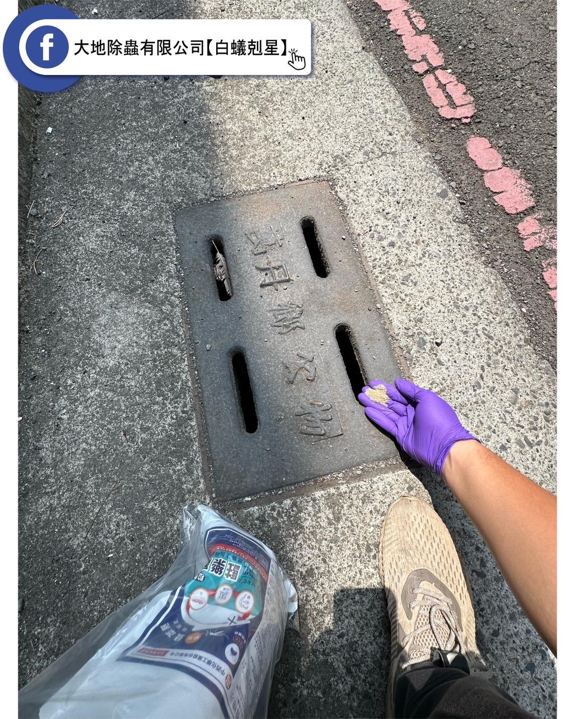 水溝投藥：預防蚊蟲繁殖的關鍵舉措