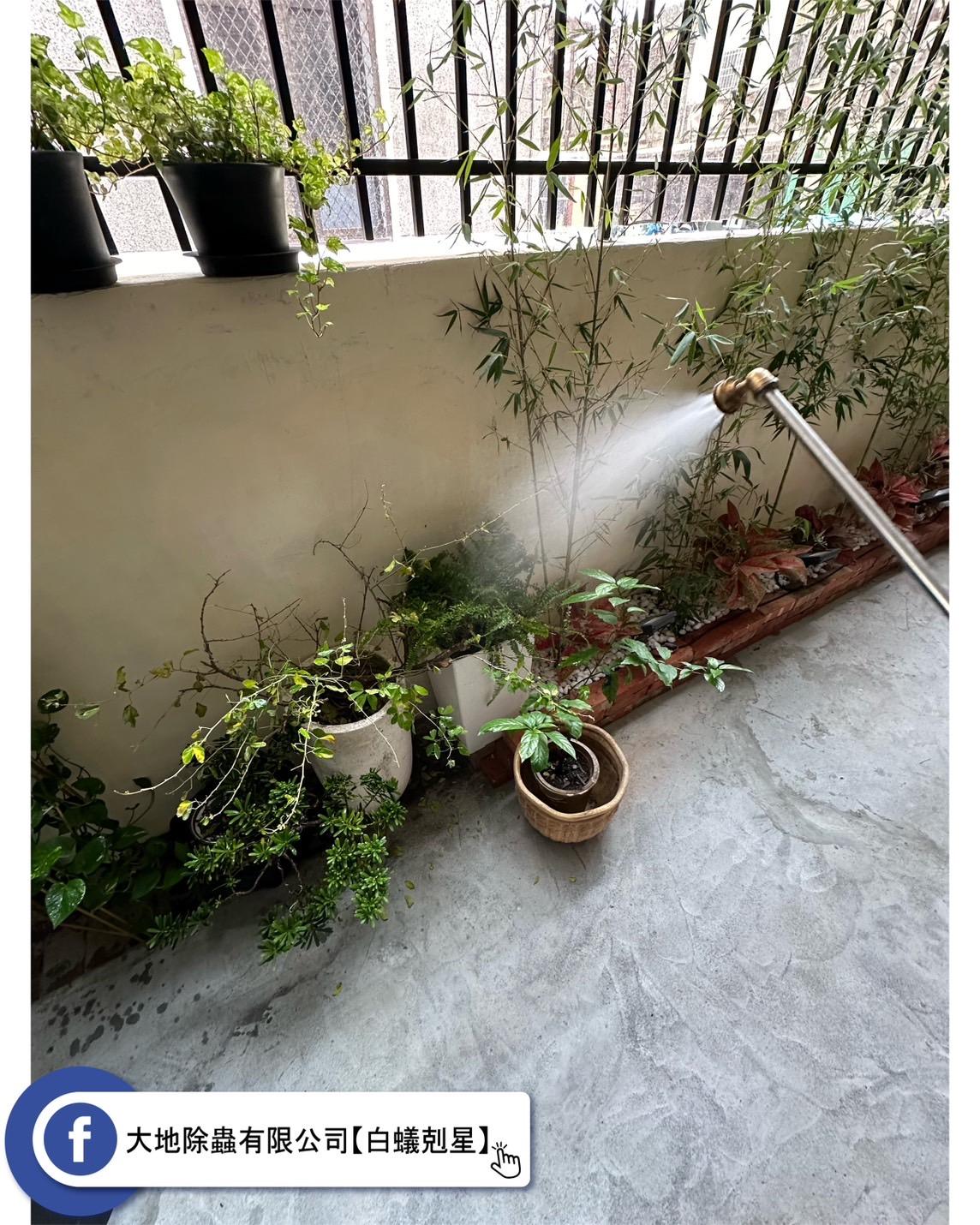 植栽與水溝：共生與控制
