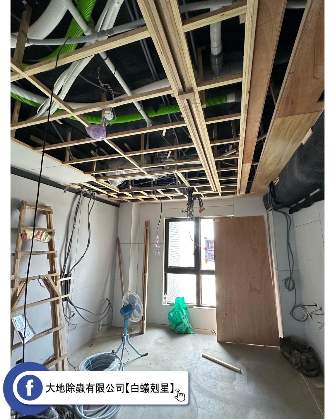 裝潢前的重要步驟：白蟻防治