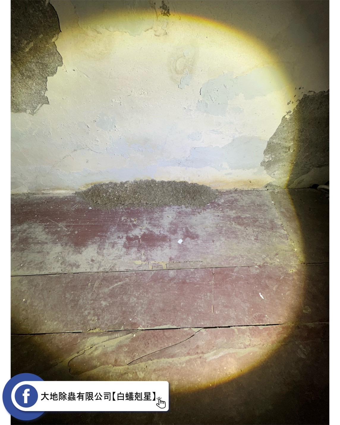 警覺！邊邊角角的土堆可能是白蟻的蹤跡！！