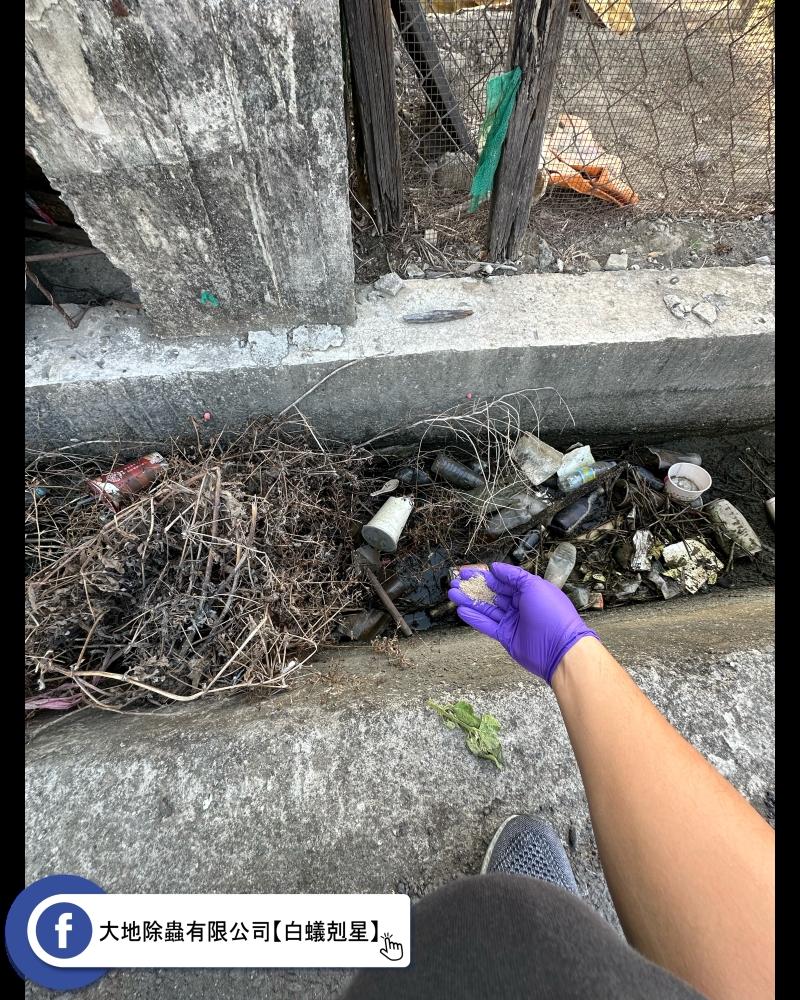遠離病媒蚊：水溝投藥的重要性