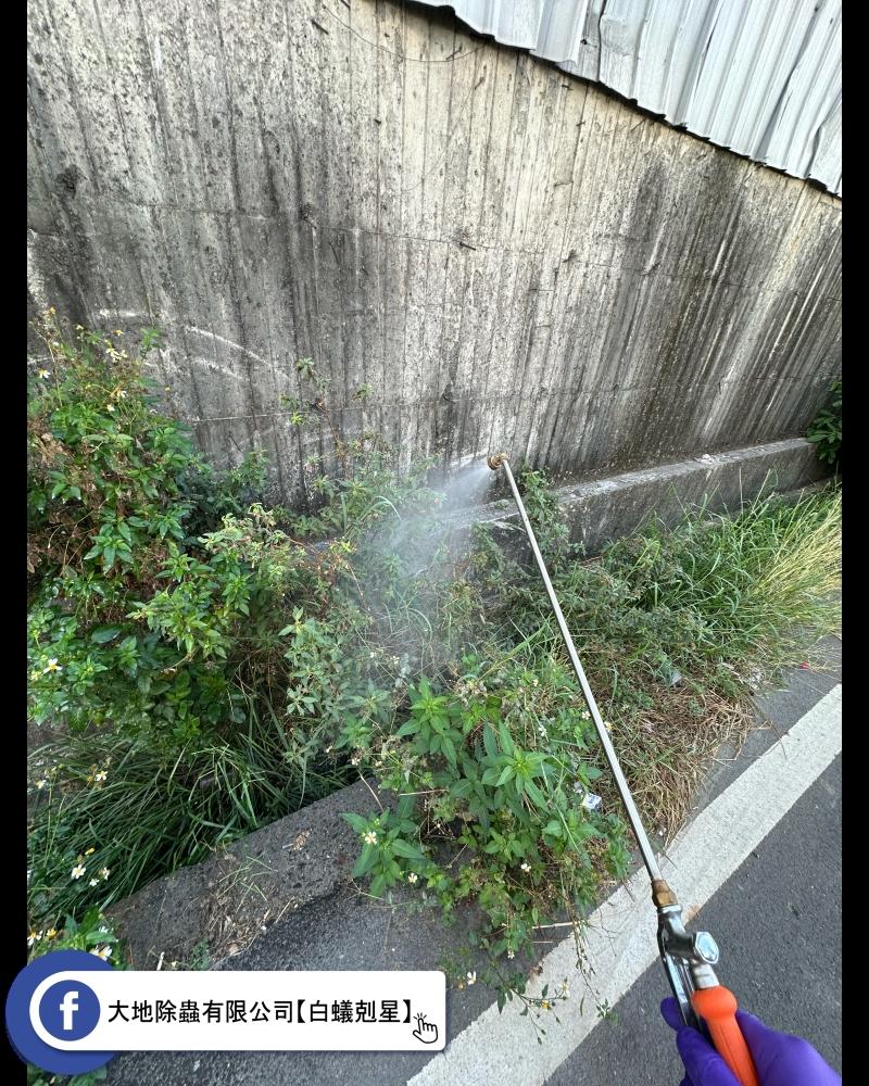清潔周遭環境，遠離蚊蟲困擾：水溝及易積水處的植物噴藥