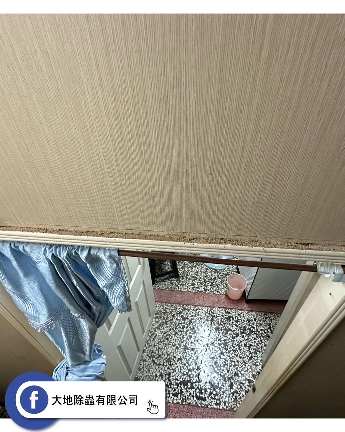 白蟻狡黠！輕隔間門框成土道聚集地