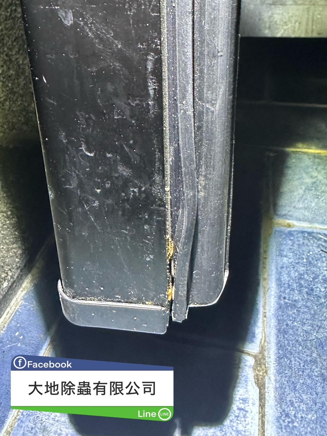 蟑螂防治冰箱膠條隙縫