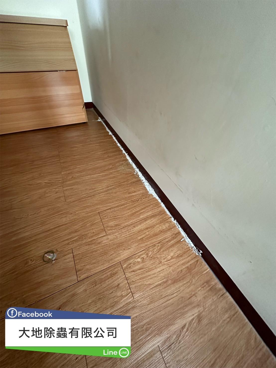 白蟻防治案例分享