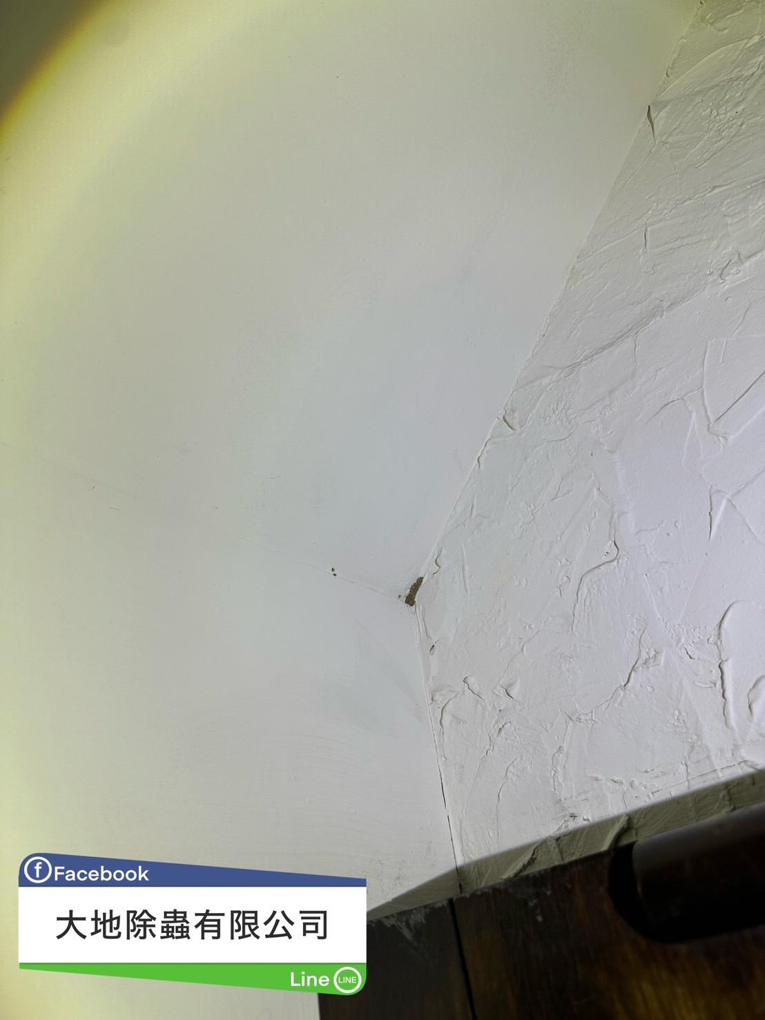 白蟻防治案例分享