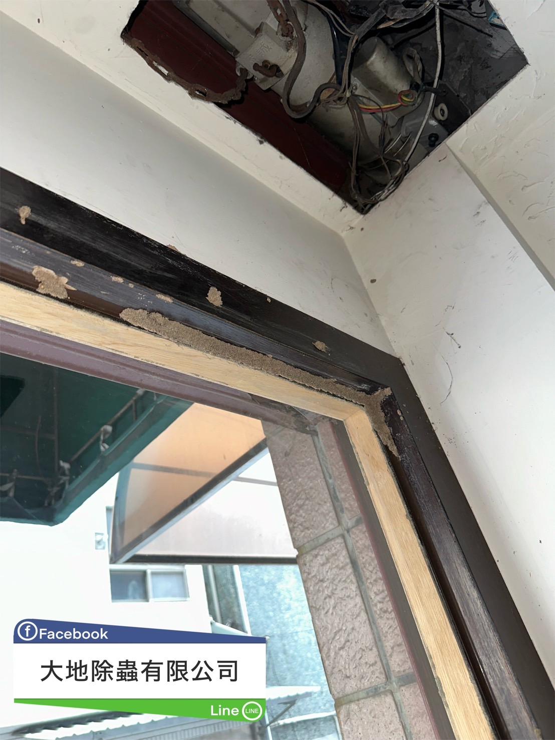 白蟻防治案例分享