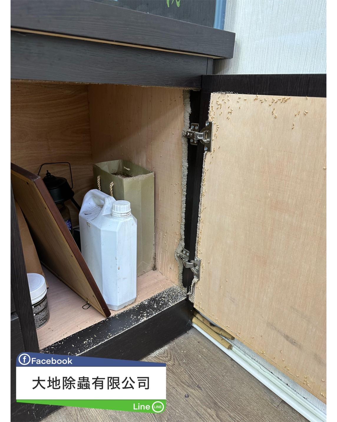 白蟻防治案例分享-櫥櫃