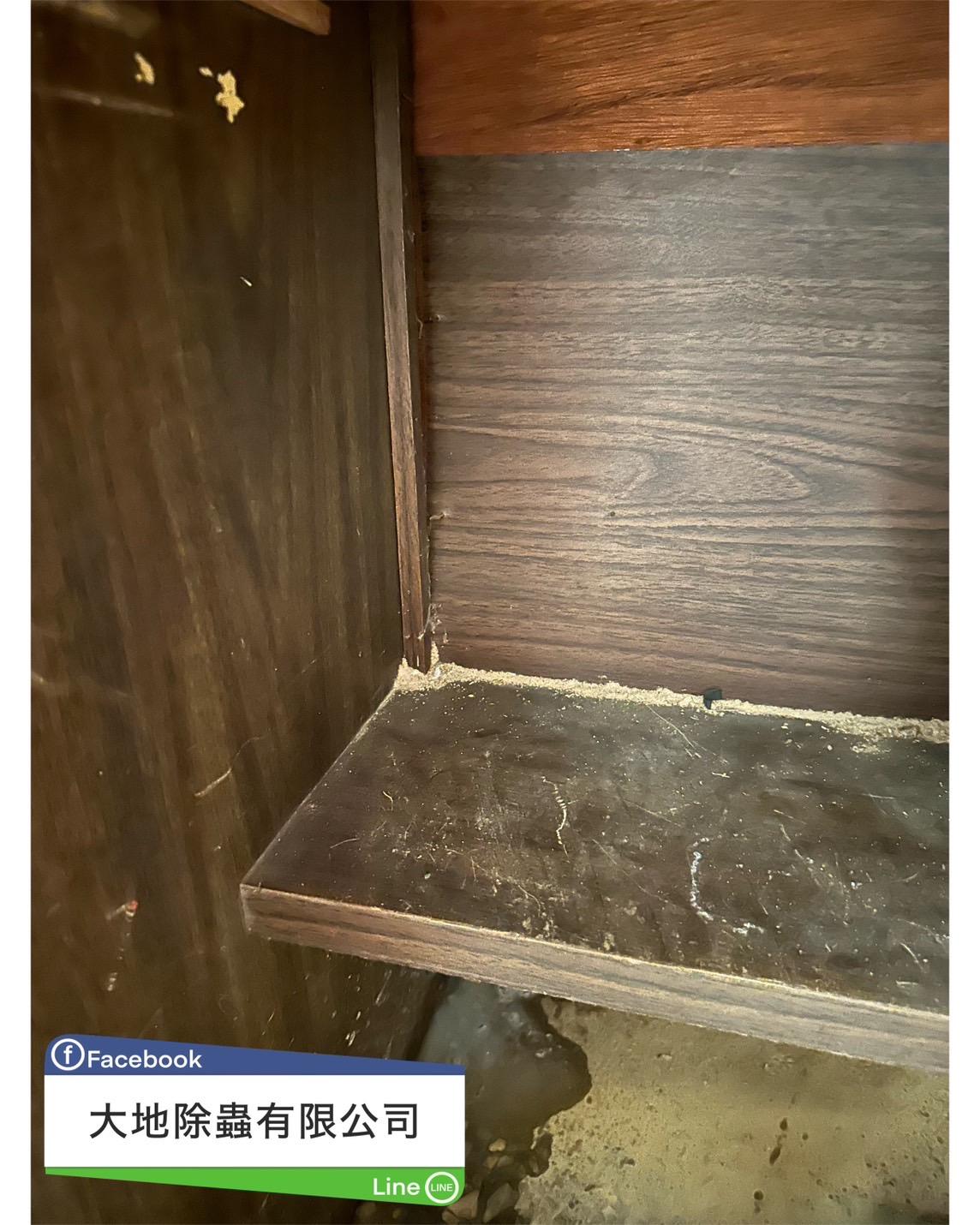白蟻防治案例分享-櫃子與牆壁白蟻入侵痕跡