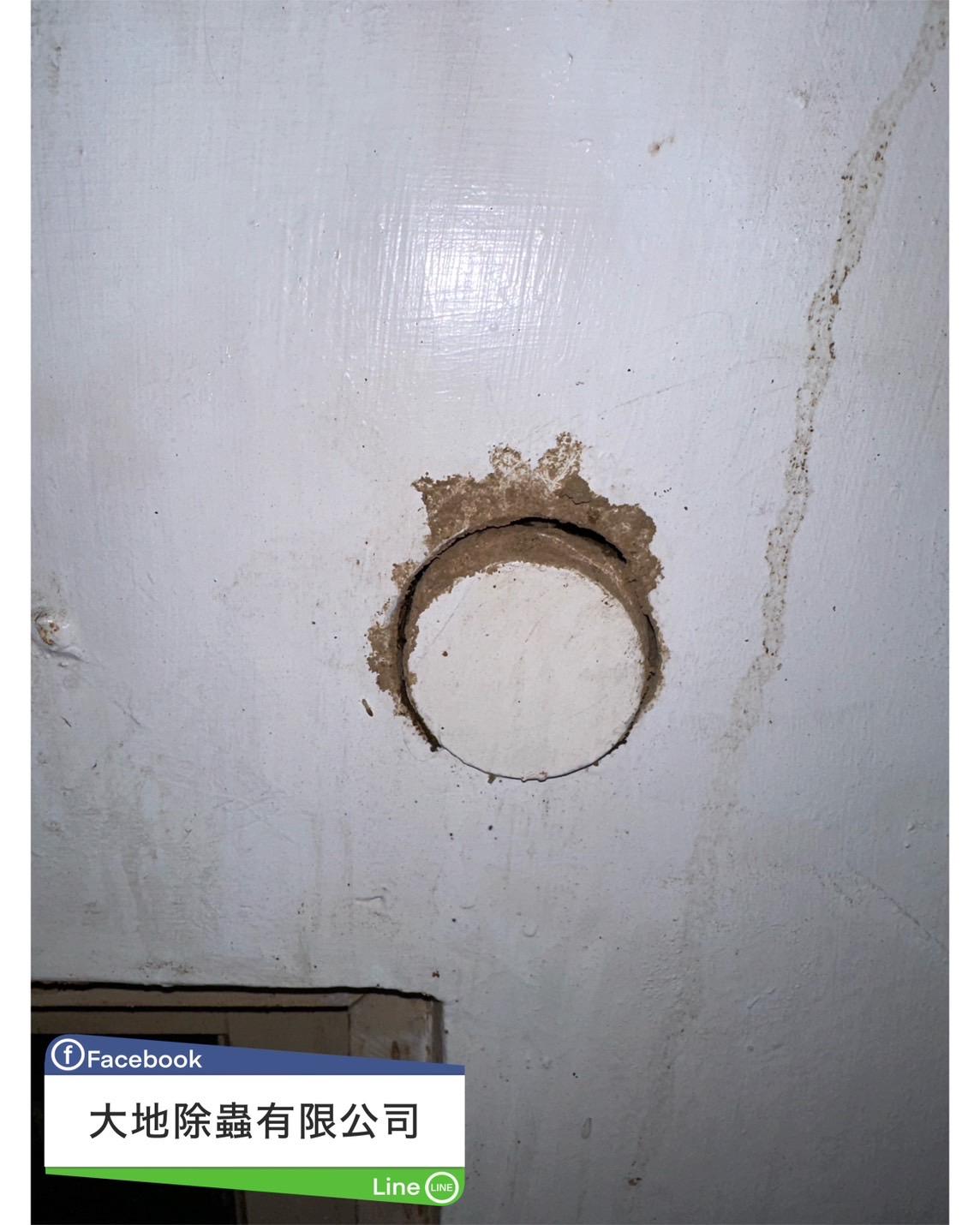 白蟻防治案例分享-門框毀損及預留孔新客