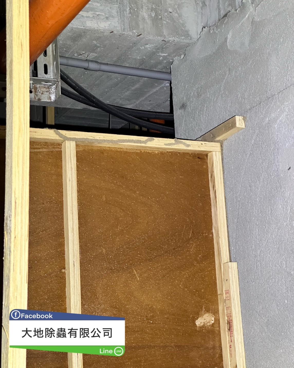 天花板角材長白蟻