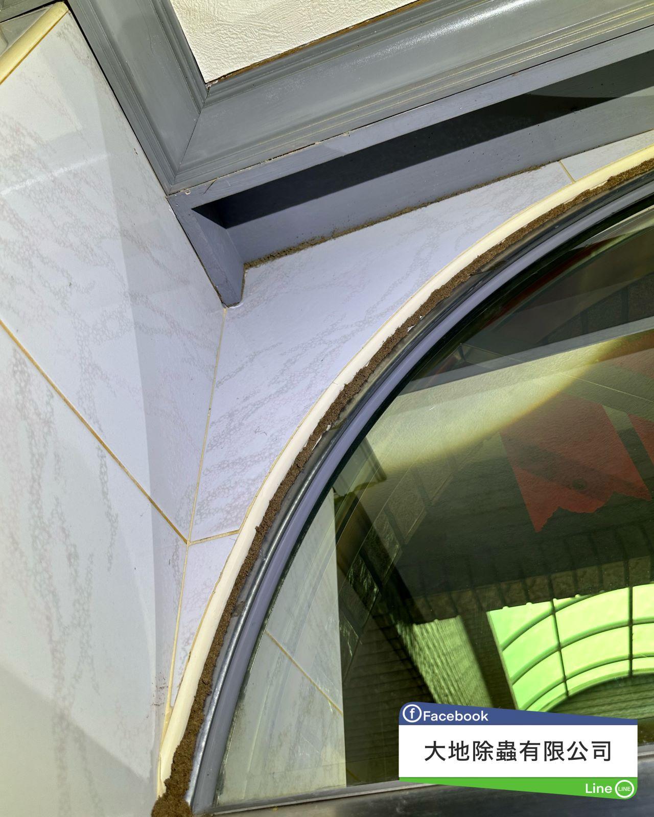 天花板及瓷磚裂縫白蟻土