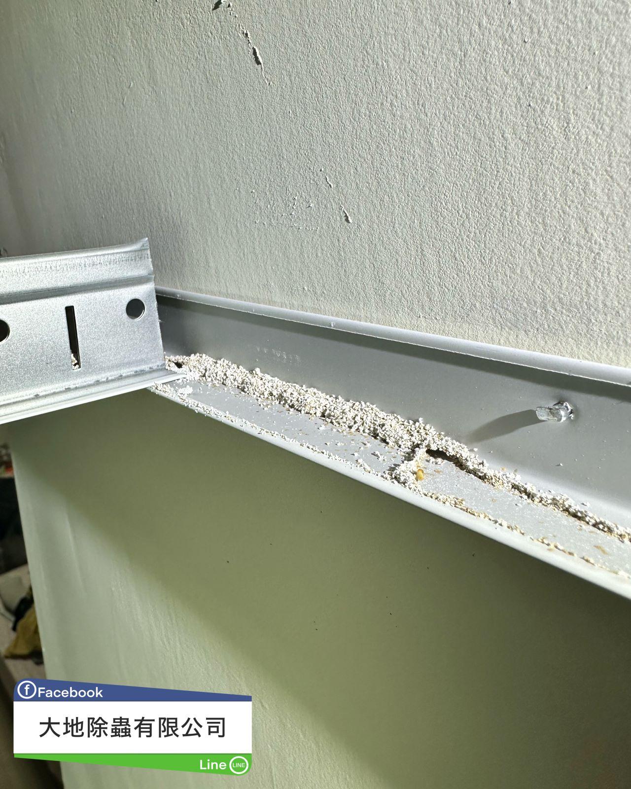 輕鋼架上水泥裂縫白蟻