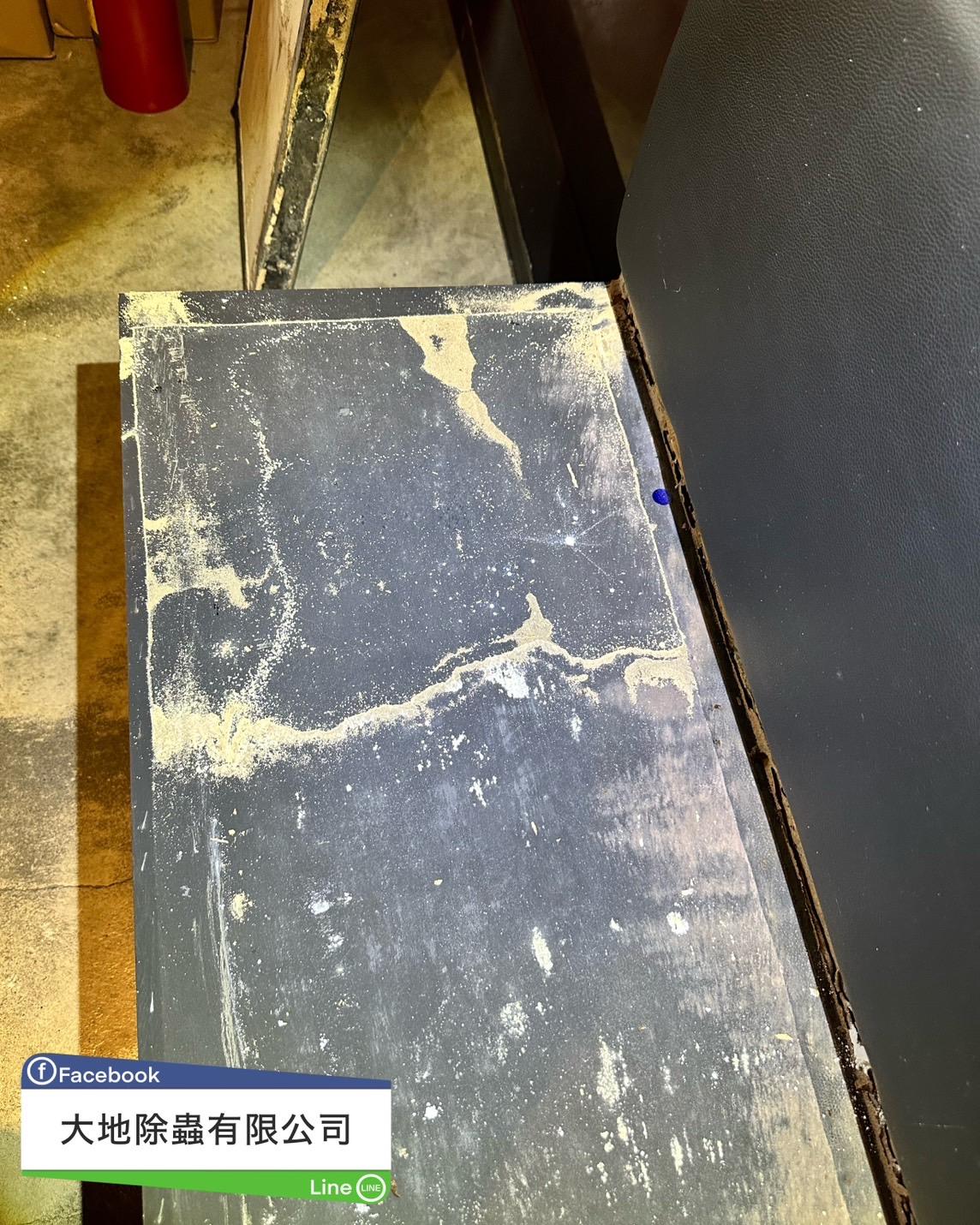 燒烤店白蟻防治