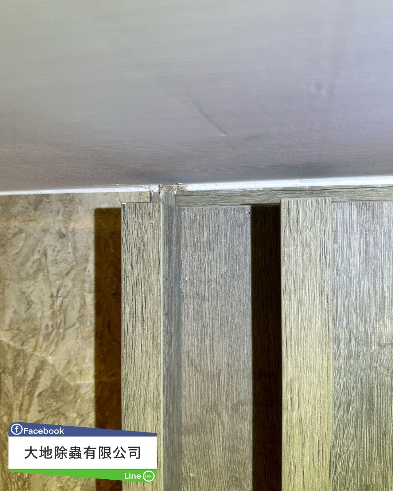 電視櫃白蟻防治