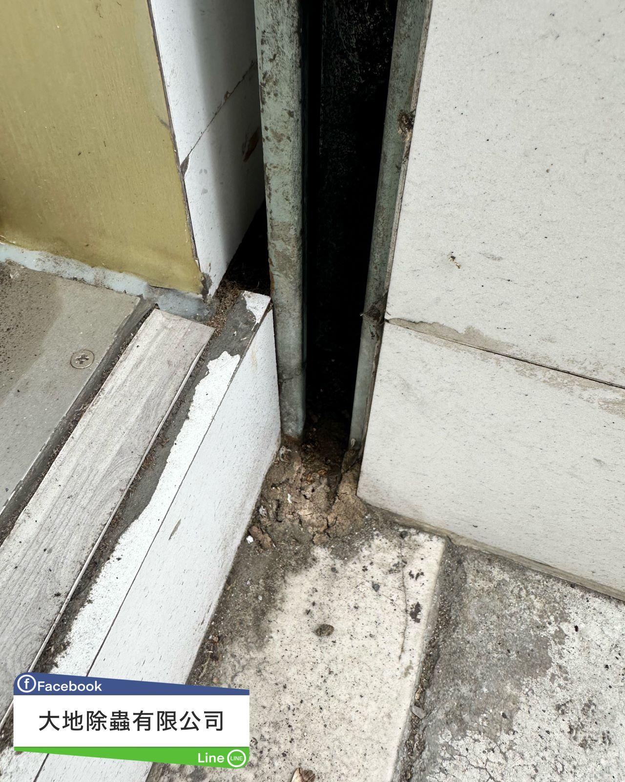 木地板與門檻白蟻防治