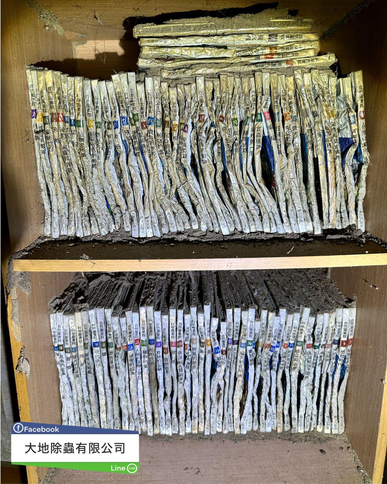 白蟻入侵長年未使用的房間