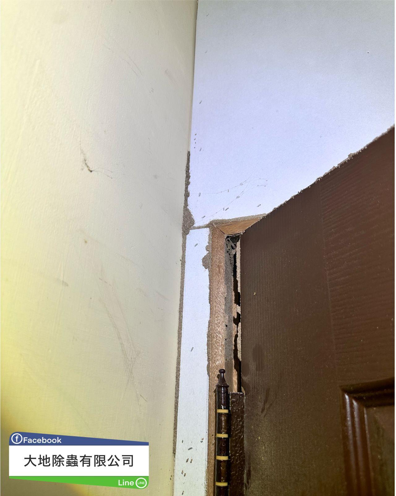 屏風門框裝潢白蟻