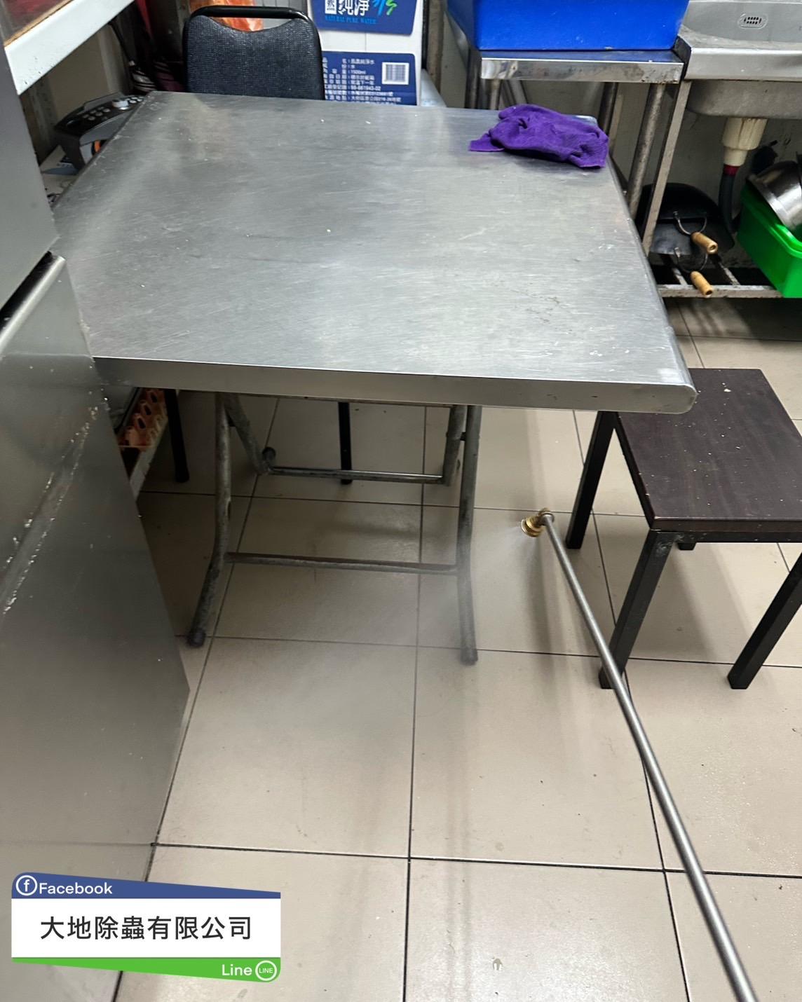 除蟑螂－除碼蟻｜餐廳消毒