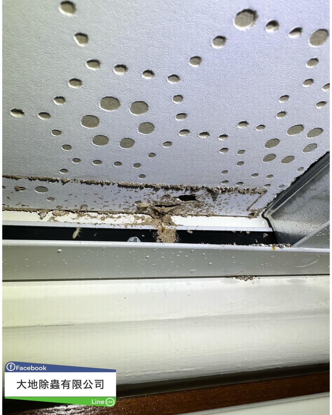 白蟻防治－除白蟻｜高雄三民區輕鋼架白蟻
